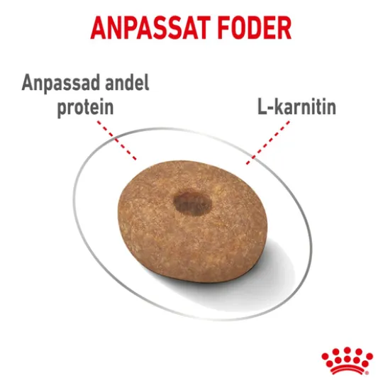 Royal Canin Light Weight Care Mini Adult Torrfoder för Hund 3 kg
