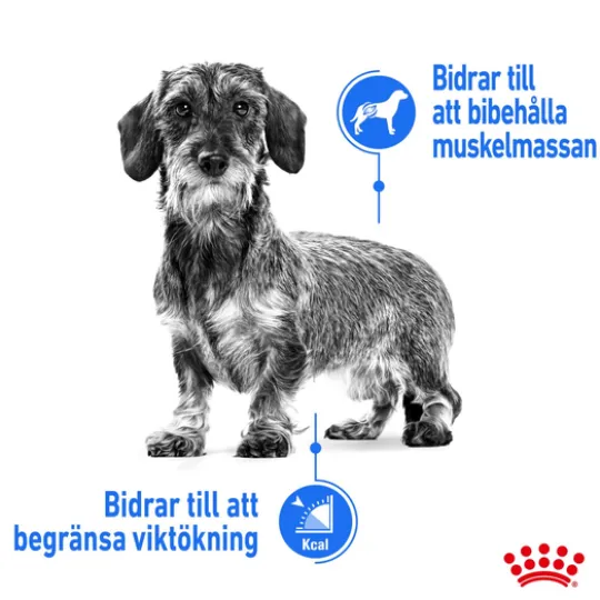 Royal Canin Light Weight Care Mini Adult Torrfoder för Hund 3 kg