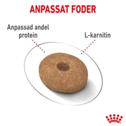 Royal Canin Light Weight Care Mini Adult Torrfoder för Hund 8 kg