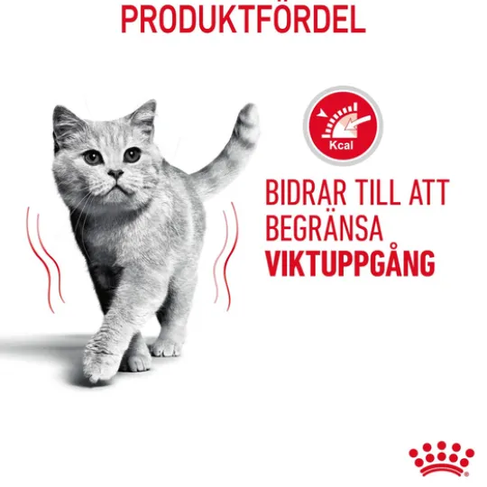 Royal Canin Light Weight Care Adult Torrfoder för Katt 8 kg