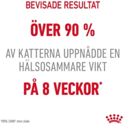 Royal Canin Light Weight Care Adult Torrfoder för Katt 3 kg