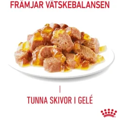 Royal Canin Light Weight Care Jelly Adult Våtfoder för Katt 1,02 kg