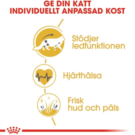 Royal Canin Maine Coon Adult Torrfoder för Katt 10 kg