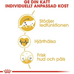 Royal Canin Maine Coon Adult Torrfoder för Katt 10 kg