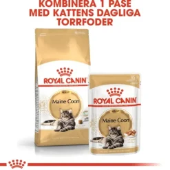 Royal Canin Maine Coon Adult Torrfoder för Katt 2 kg