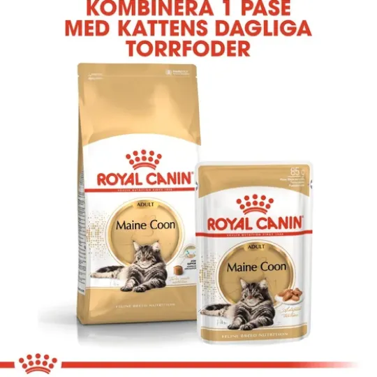 Royal Canin Maine Coon Adult Torrfoder för Katt 2 kg