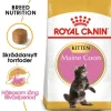 Royal Canin Maine Coon Kitten Torrfoder för Kattunge 4 kg