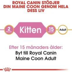 Royal Canin Maine Coon Kitten Torrfoder för Kattunge 4 kg