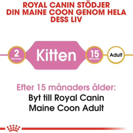 Royal Canin Maine Coon Kitten Torrfoder för Kattunge 4 kg