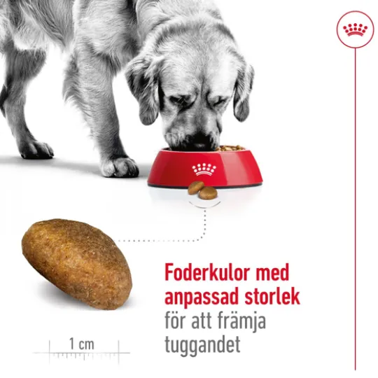 Royal Canin Maxi Adult Torrfoder för Hund 15 kg