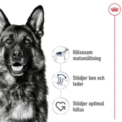 Royal Canin Maxi Adult Torrfoder för Hund 15 kg