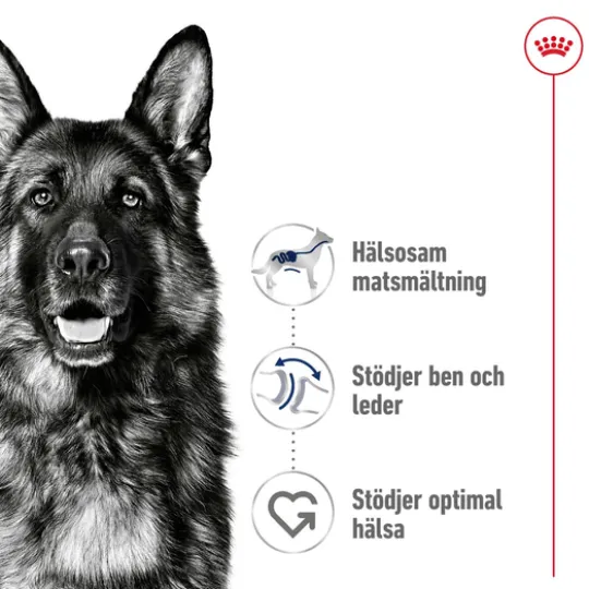 Royal Canin Maxi Adult Torrfoder för Hund 15 kg