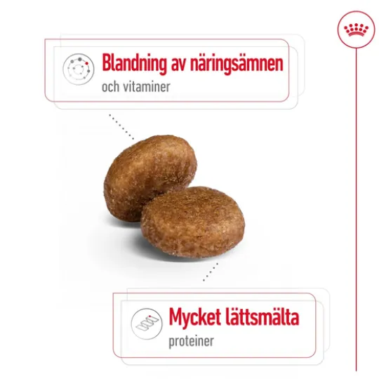Royal Canin Maxi Adult 5+ Torrfoder för Hund 15 kg