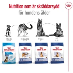 Royal Canin Maxi Adult 5+ Torrfoder för Hund 15 kg
