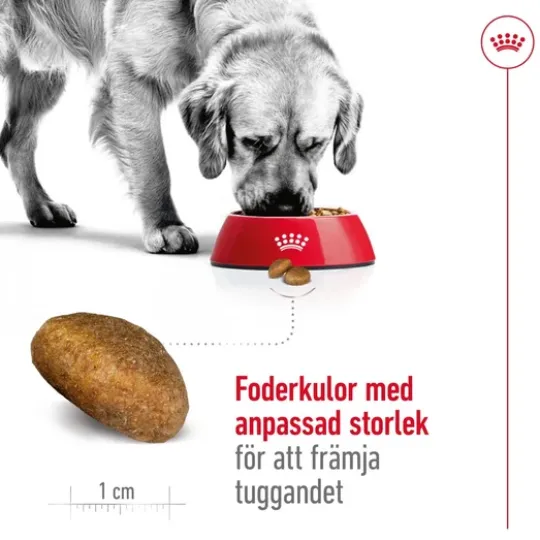Royal Canin Maxi Adult Torrfoder för Hund 15 kg