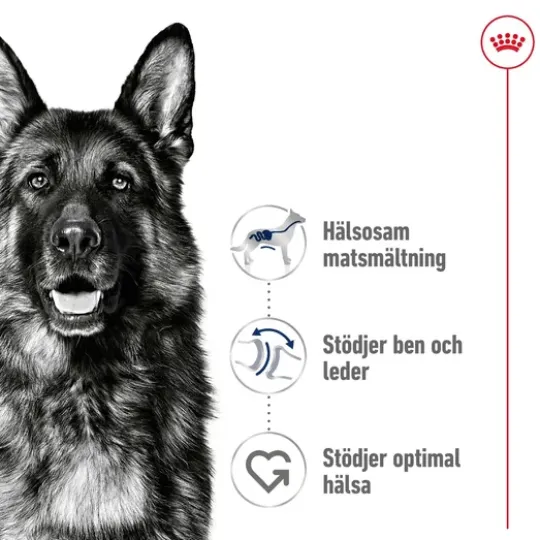 Royal Canin Maxi Adult Torrfoder för Hund 15 kg