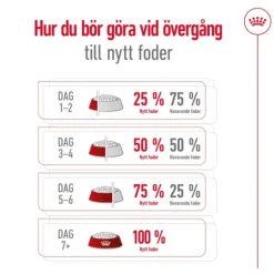 Royal Canin Maxi Ageing 8+ Torrfoder för Hund 15 kg