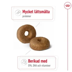 Royal Canin Maxi Ageing 8+ Torrfoder för Hund 15 kg