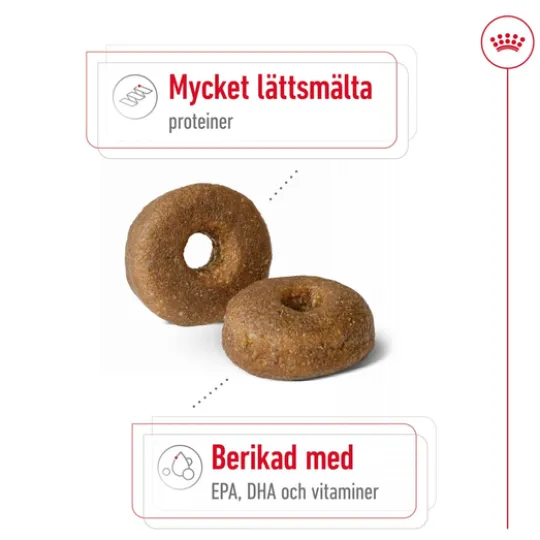 Royal Canin Maxi Ageing 8+ Torrfoder för Hund 15 kg