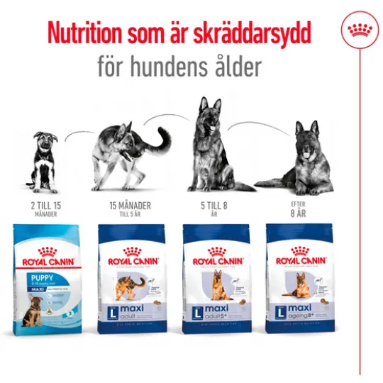 Royal Canin Maxi Ageing 8+ Torrfoder för Hund 15 kg