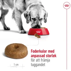 Royal Canin Maxi Ageing 8+ Torrfoder för Hund 15 kg