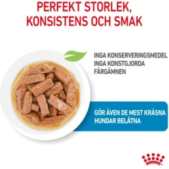 Royal Canin Maxi Puppy Gravy Våtfoder för Hundvalp 1,4 kg