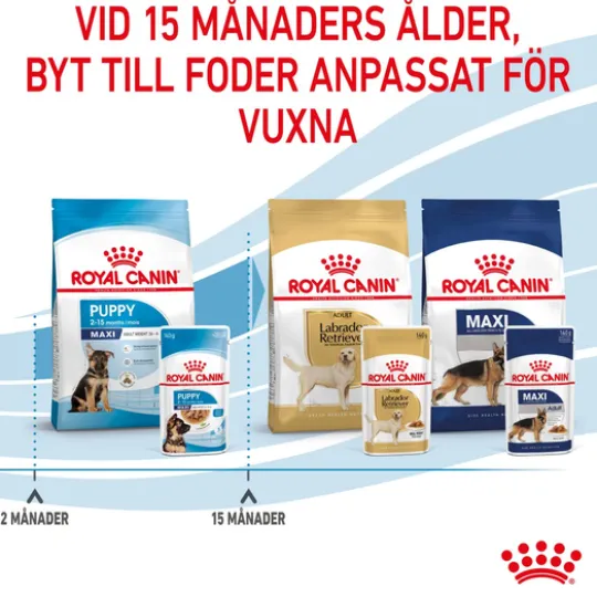 Royal Canin Maxi Puppy Gravy Våtfoder för Hundvalp 1,4 kg