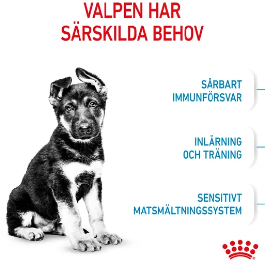 Royal Canin Maxi Puppy Torrfoder för Hundvalp 4 kg