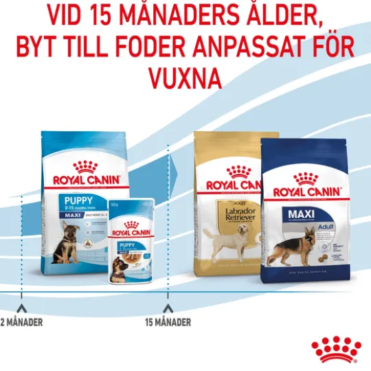 Royal Canin Maxi Puppy Torrfoder för Hundvalp 4 kg