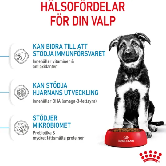 Royal Canin Maxi Puppy Torrfoder för Hundvalp 15 kg