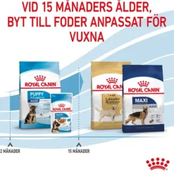Royal Canin Maxi Puppy Torrfoder för Hundvalp 15 kg