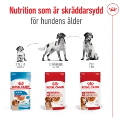 Royal Canin Medium Adult Gravy Våtfoder för Hund 1,4 kg