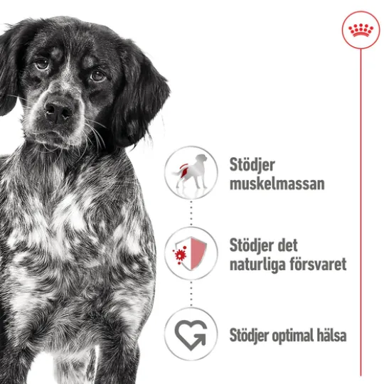 Royal Canin Medium Adult Loaf Våtfoder för Hund 4,92 kg