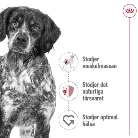 Royal Canin Medium Adult Torrfoder för Hund 4 kg