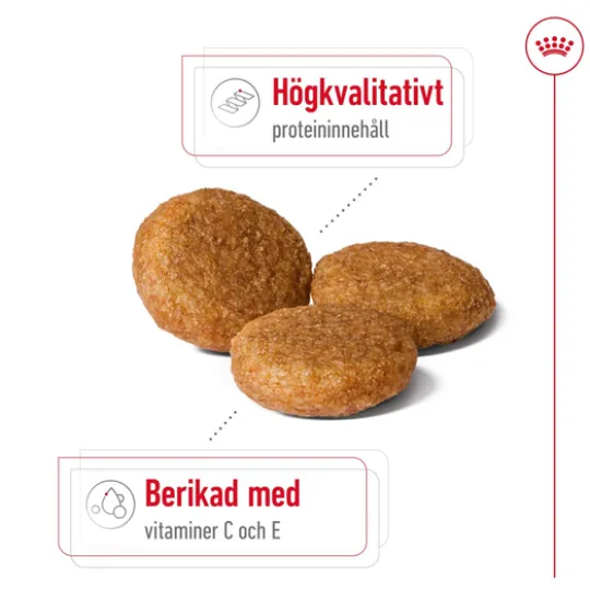 Royal Canin Medium Adult Torrfoder för Hund 15 kg
