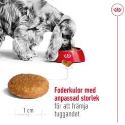 Royal Canin Medium Adult Torrfoder för Hund 15 kg