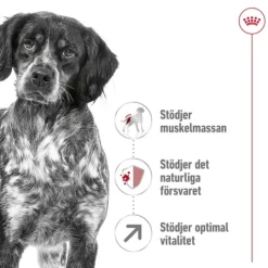 Royal Canin Medium Adult 7+ Torrfoder för Hund 15 kg