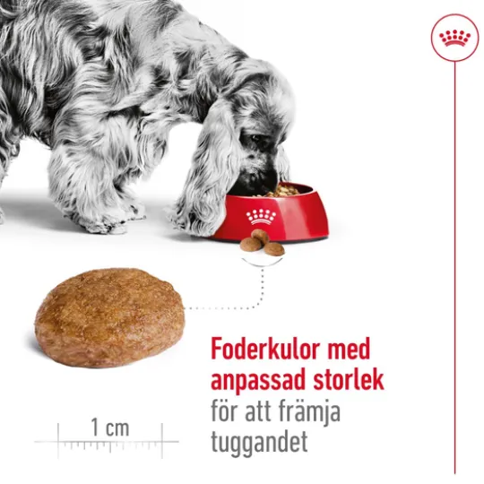 Royal Canin Medium Adult 7+ Torrfoder för Hund 15 kg