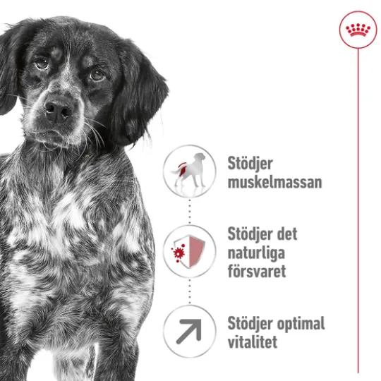 Royal Canin Medium Adult 7+ Torrfoder för Hund 15 kg