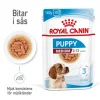 Royal Canin Medium Puppy Gravy Våtfoder för Hundvalp 1,4 kg