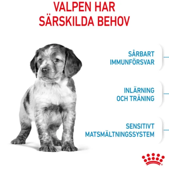 Royal Canin Medium Puppy Torrfoder för Hundvalp 10 kg