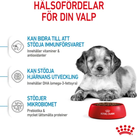 Royal Canin Medium Puppy Torrfoder för Hundvalp 4 kg