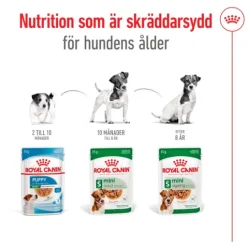 Royal Canin Mini Adult Gravy Våtfoder för Hund 1,02 kg