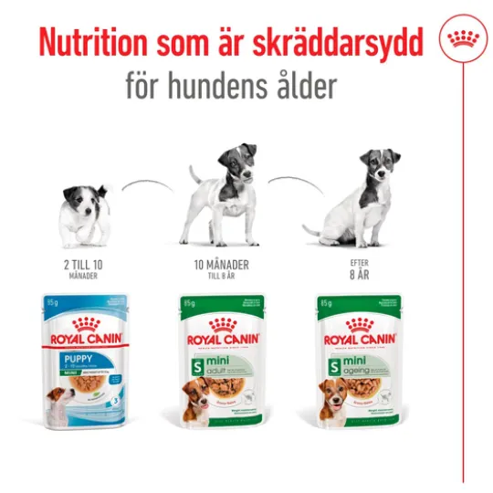 Royal Canin Mini Adult Gravy Våtfoder för Hund 1,02 kg
