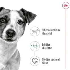 Royal Canin Mini Adult Torrfoder för Hund 2 kg