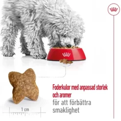 Royal Canin Mini Adult Torrfoder för Hund 2 kg
