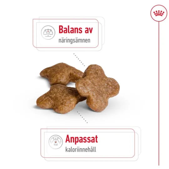 Royal Canin Mini Adult 8+ Torrfoder för Hund 8 kg