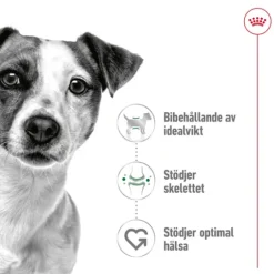 Royal Canin Mini Adult Torrfoder för Hund 4 kg