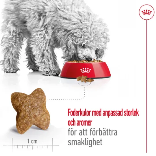 Royal Canin Mini Adult Torrfoder för Hund 4 kg