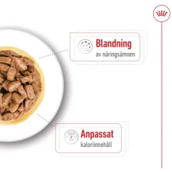 Royal Canin Mini Ageing Gravy Våtfoder för Hund 1,02 kg